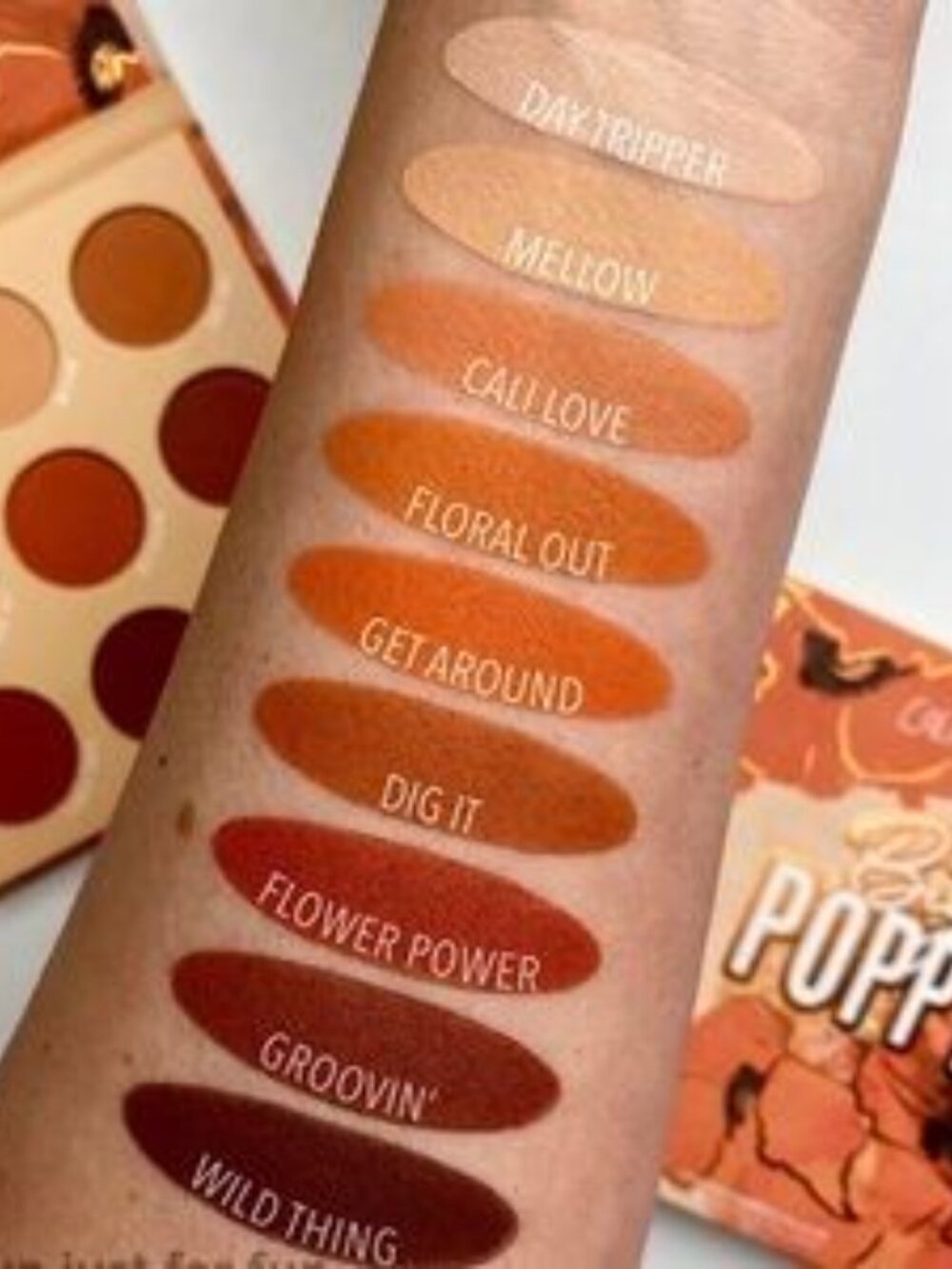 COLOURPOP Eyeshadow Palette Bundle - 27 pigments total - NWT and NEVER swatched - Picture 4 of 16
